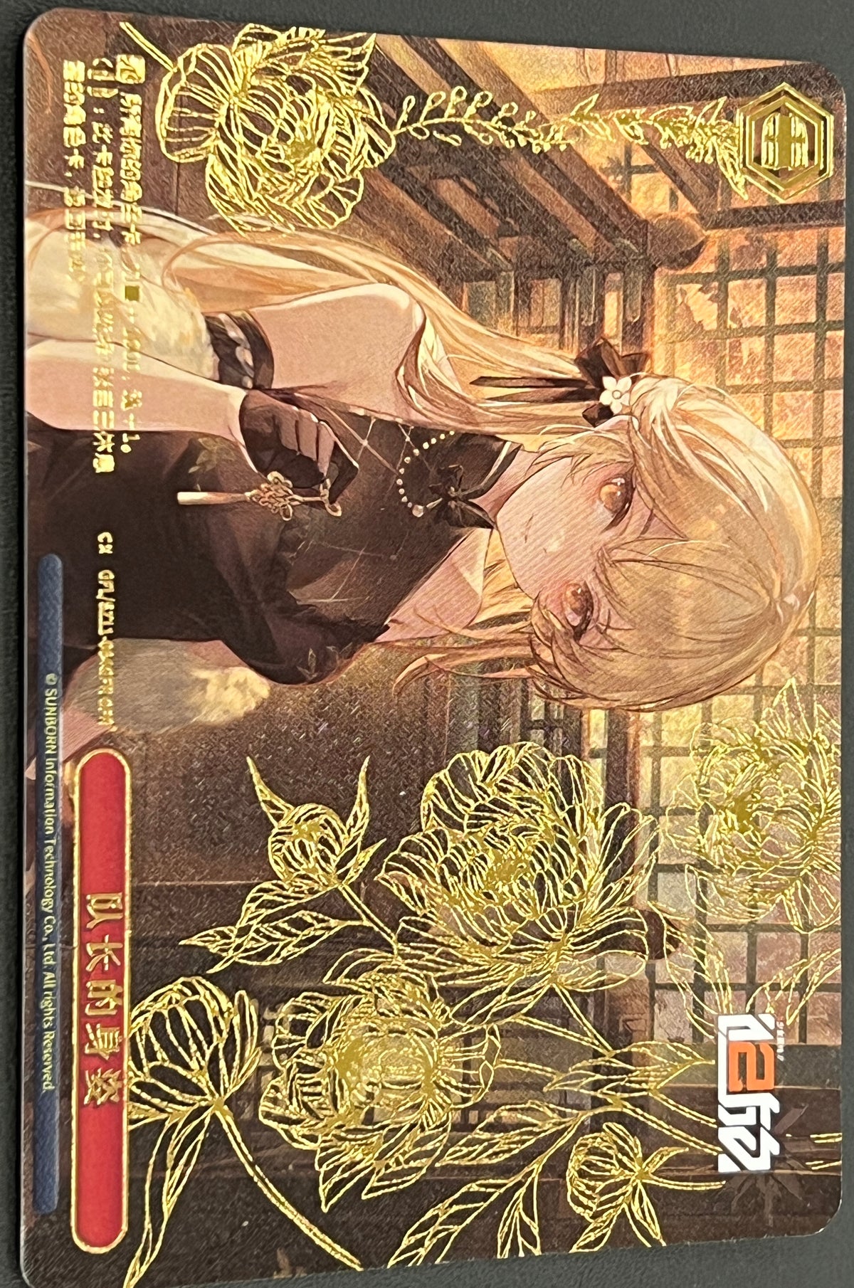 (CN)GFL/SZ11-064GFR) 队长的身姿