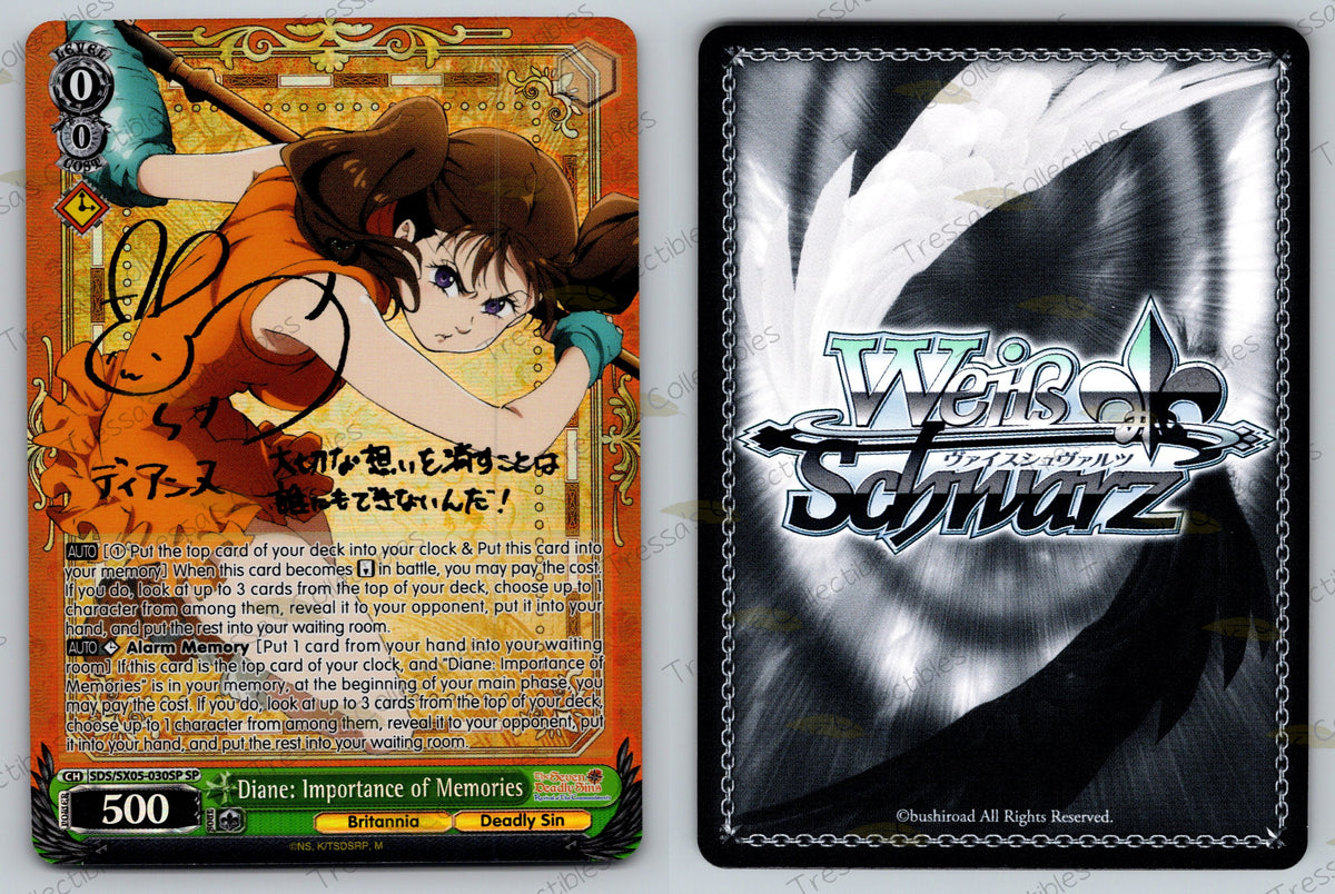 (SDS/SX05-030SP) Diane: Importance of Memories
