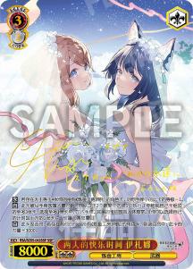 (CN) Atelier Resleriana Booster Box