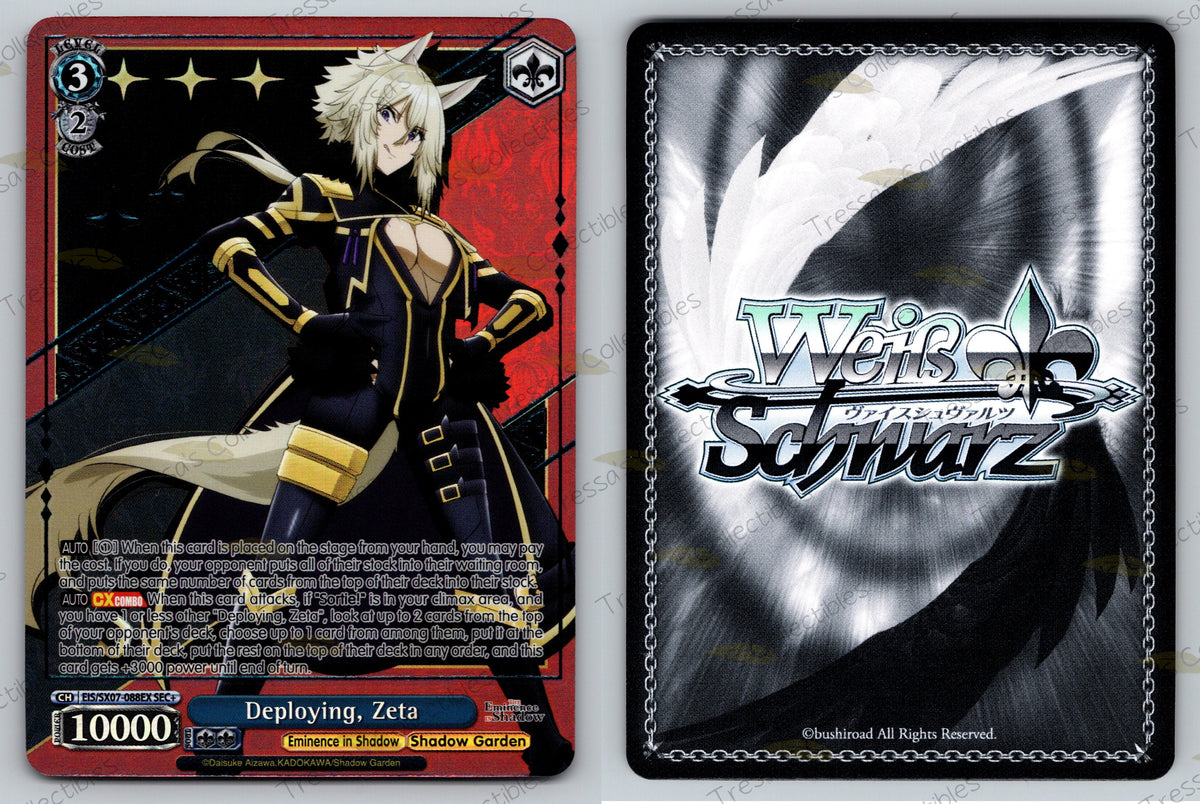 (EIS/SX07-088EX) Deploying, Zeta